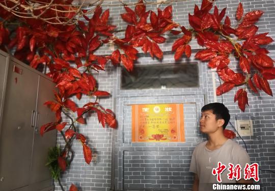 图为兰州理工大学学生利用“枫叶”和树藤装扮宿舍。 刘玉桃 摄 图为兰州理工大学学生利用“枫叶”和树藤装扮宿舍。 刘玉桃 摄